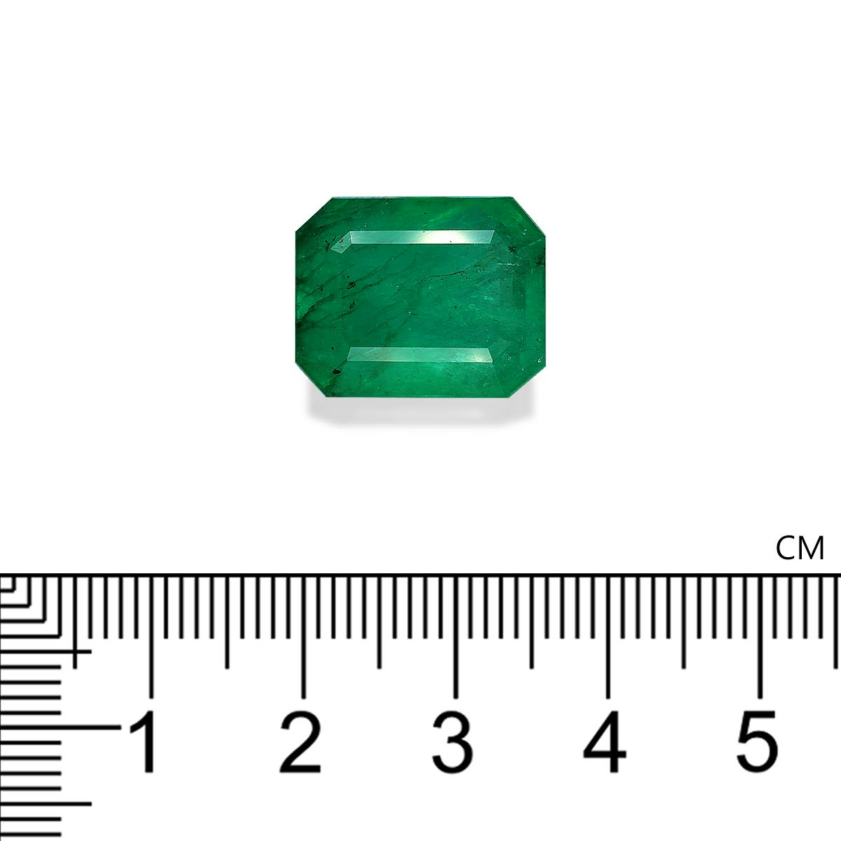 Zambian Emerald 15.69 ct